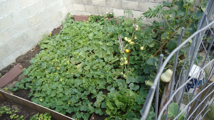 3 Bedroom Property for Sale in Tafelsig Western Cape